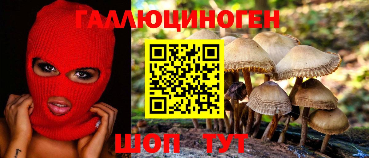 Галлюциногенные грибы GOLDEN TEACHER  Вход с VPN  Дмитров 